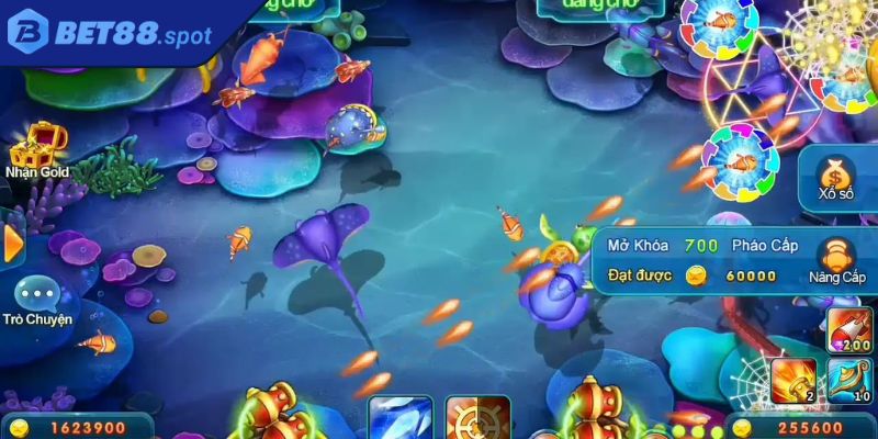 Bắt đầu tham gia trải nghiệm