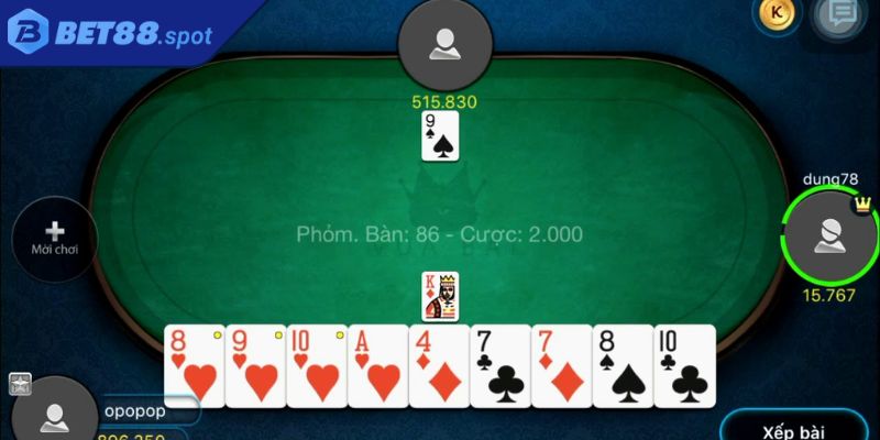 Hệ thống thuật ngữ trong Phỏm